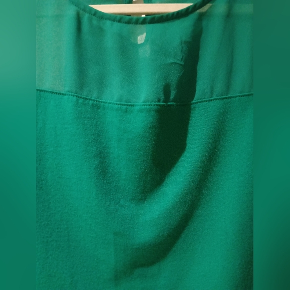 Express Kelly Green mesh top - Picture 10 of 12
